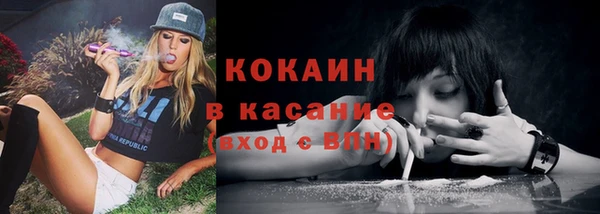 ГАЛЛЮЦИНОГЕННЫЕ ГРИБЫ Краснотурьинск