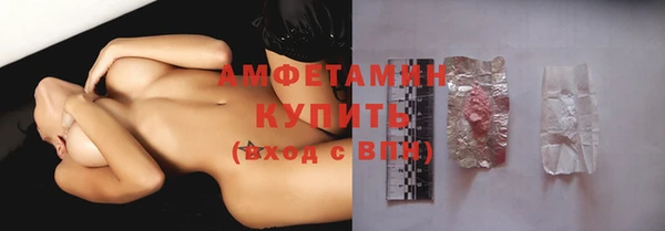 дмт Краснослободск