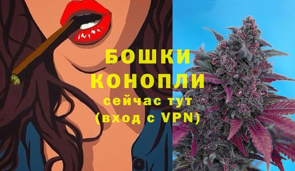 дмт Краснослободск