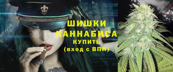 дмт Краснослободск