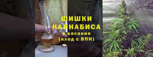 ГАЛЛЮЦИНОГЕННЫЕ ГРИБЫ Краснотурьинск