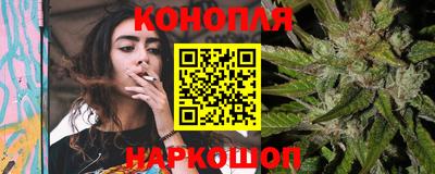 шишки Изобильный