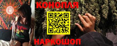 шишки Изобильный
