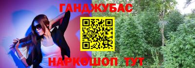 шишки Изобильный