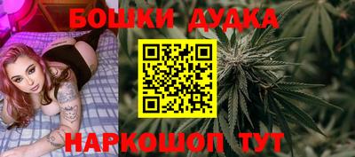 шишки Изобильный