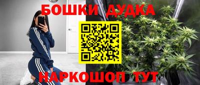 шишки Изобильный