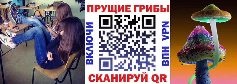 Псилоцибиновые грибы Psilocybine cubensis  мориарти официальный сайт  Кириши 