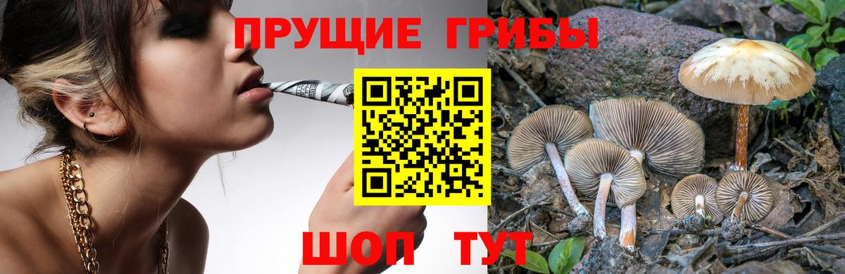 Псилоцибиновые грибы Magic Shrooms Кириши